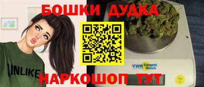 гашик Лесосибирск