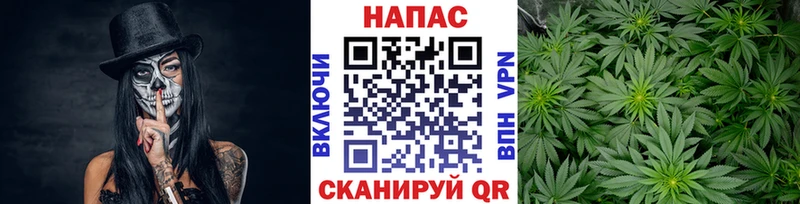 купить наркотики сайты  Донецк  Марихуана SATIVA & INDICA 